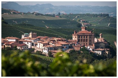 sei di narzole se|NARZOLE — Welcome Langhe Roero